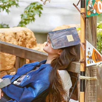 机Boy小子之真假威龙